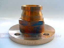 Male BS336 'Instantaneous' flange adapter